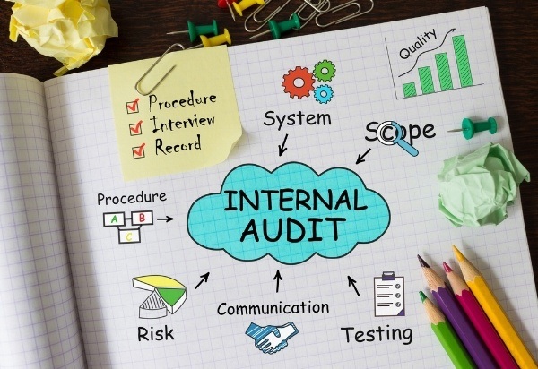 performing an internal audit