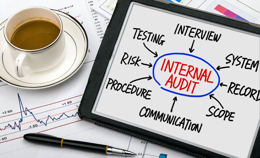 conducting internal audits