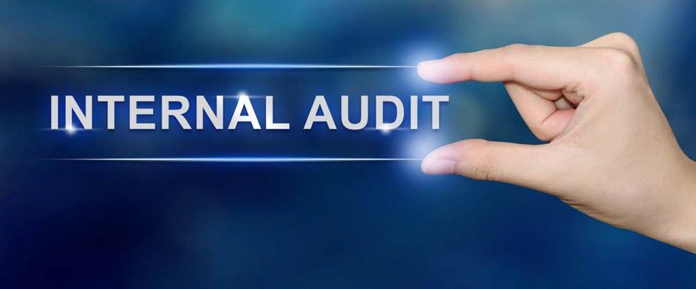 internal audit scope of work