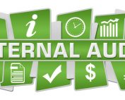 internal audit program for manufacturing