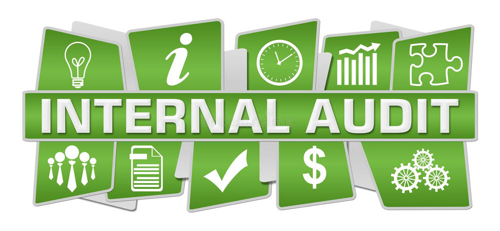 internal audit program for manufacturing